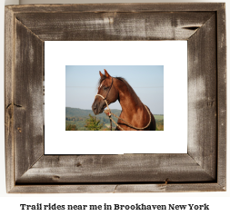 trail rides near me in Brookhaven, New York